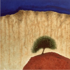 Old Hawthorn Tree, Vaughan Old Hawthorn Tree, Vaughan