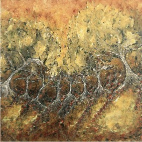 Silver Wattles Silver Wattles