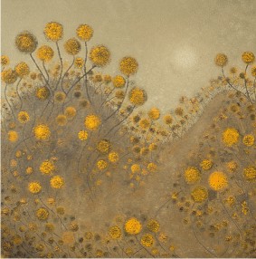 Wattles at Dawn, Breakneck Hill Wattles at Dawn, Breakneck Hill